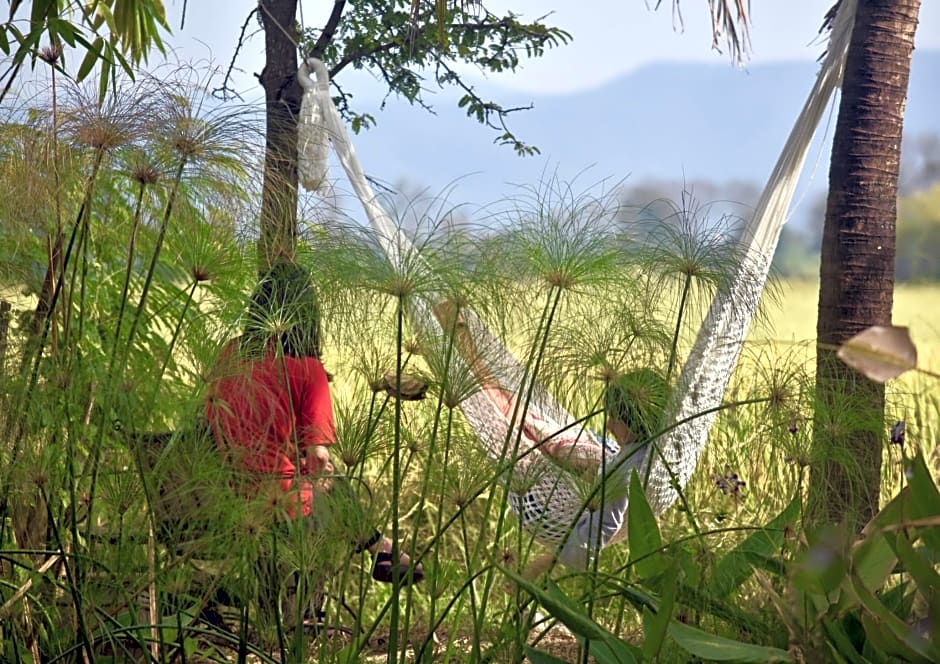 Tung Tong Homestay & Camping