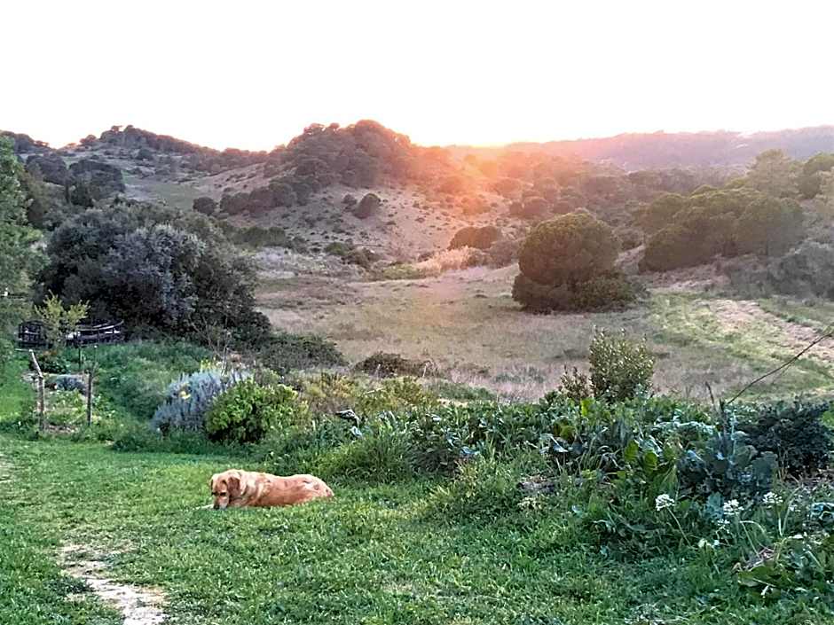 Biovilla Sustentabilidade