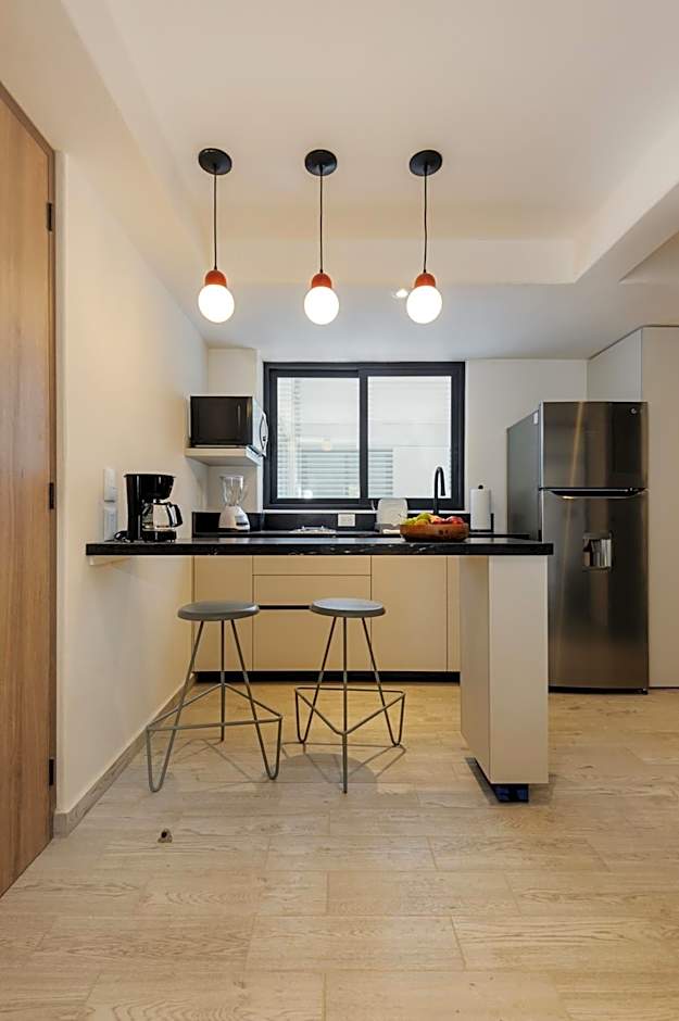 Choapan 28 - Lux Apartments in Condesa