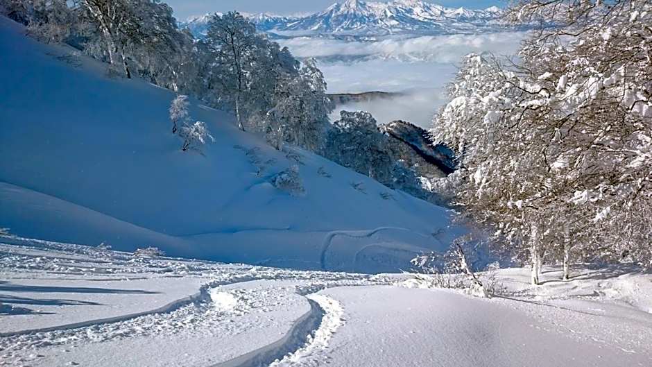 Nozawa Dream Central