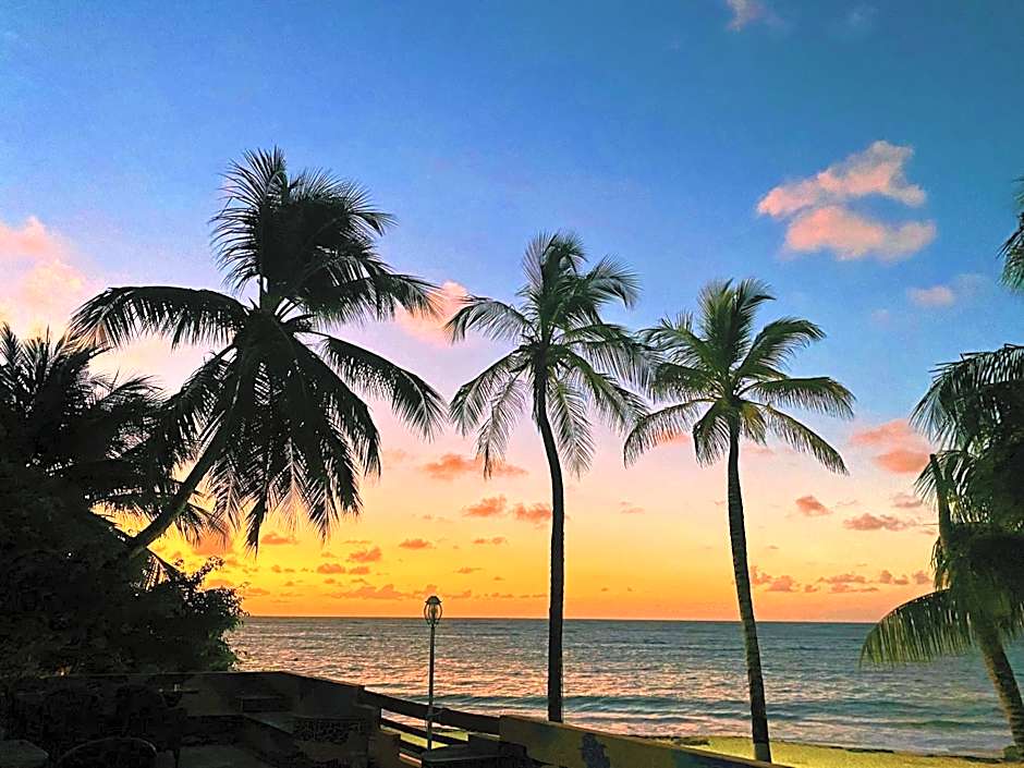 Hotel Cocoplum Beach