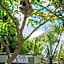 Amaroo Rainforest Resort