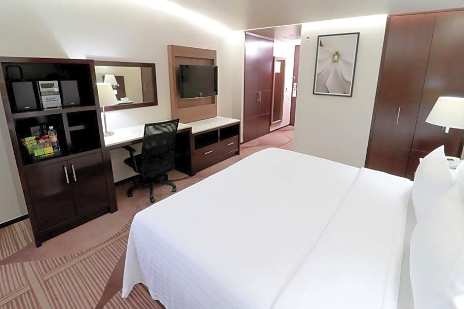 Holiday Inn Hotel & Suites Mexico Medica Sur By IHG