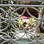 Riad NaaNaa Bed & Breakfast