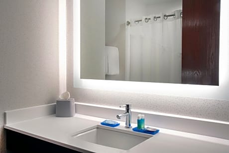 Standard King Room with Mobility Accessible Roll-In Shower