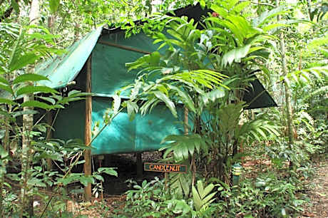 Rainforest Bungalow