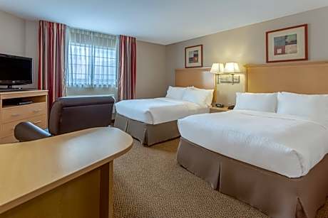 Studio Suite with Two Double Beds