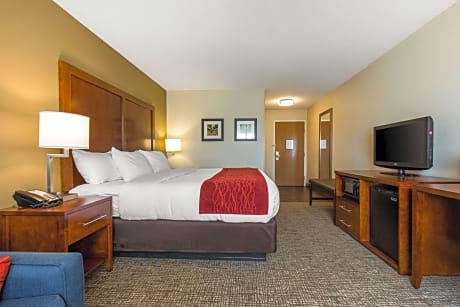 1 King Bed, Suite, Nonsmoking, Accessible
