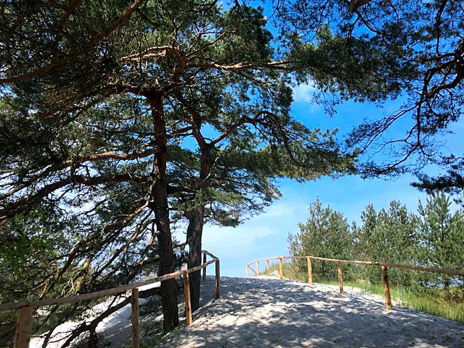 Domki nad morzem Sasino Mojo Miodno Checz