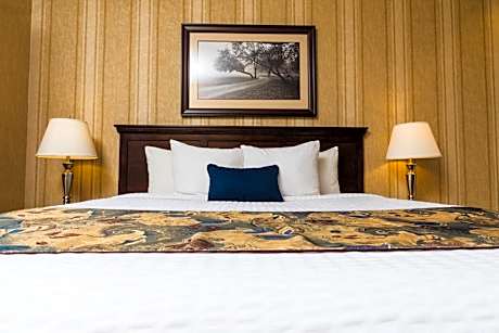 King Suite with Kitchen