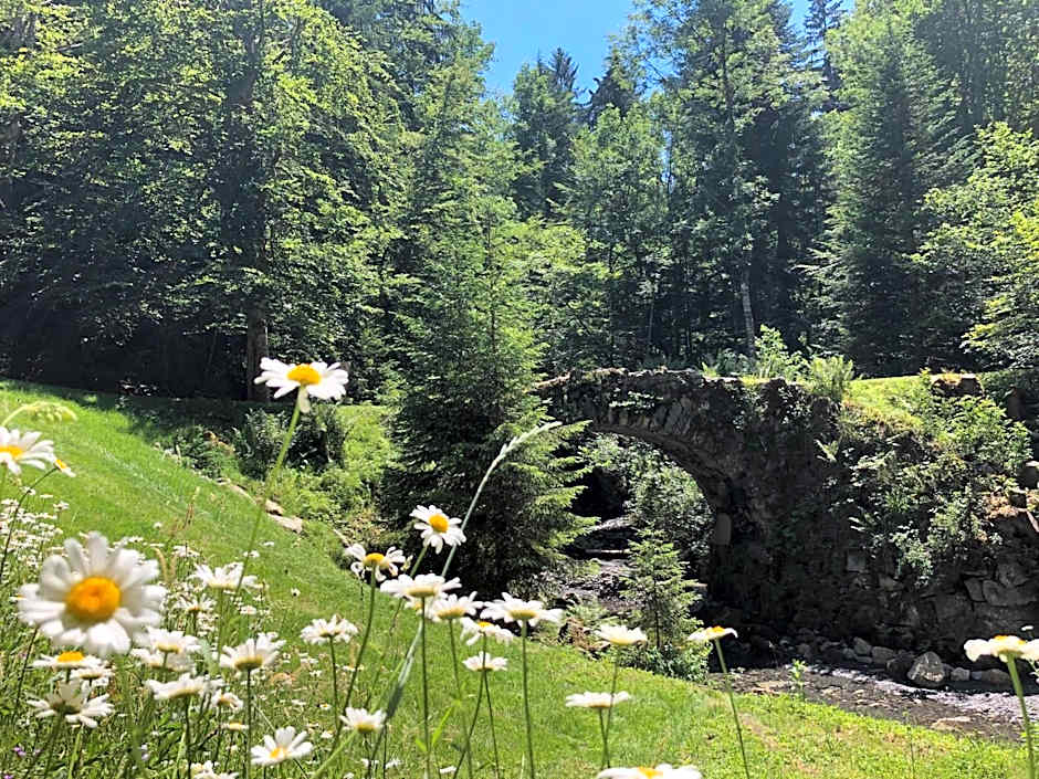 Le Moulin des Olirics