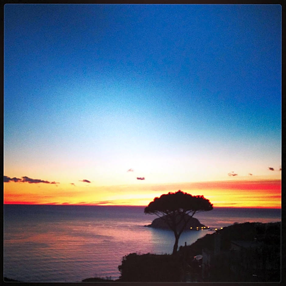 Albergo Villa Giusto