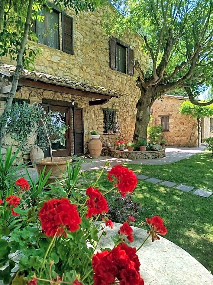 All'Ombra di San Damiano