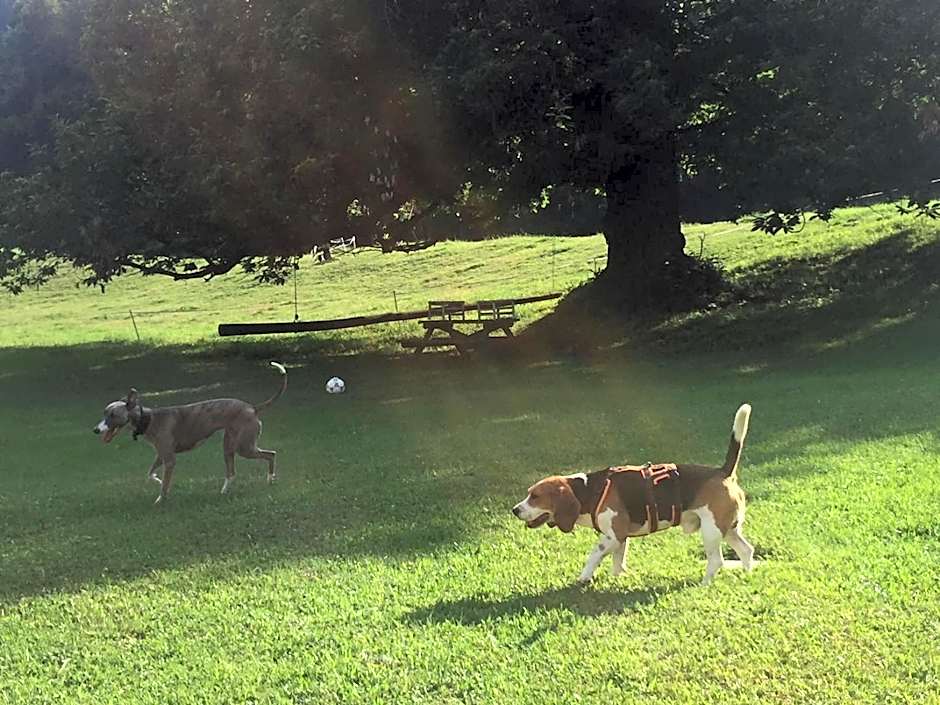 Hotel Villa Simplicitas