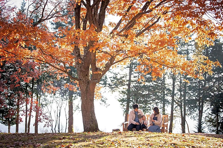 THE HIRAMATSU KARUIZAWA MIYOTA