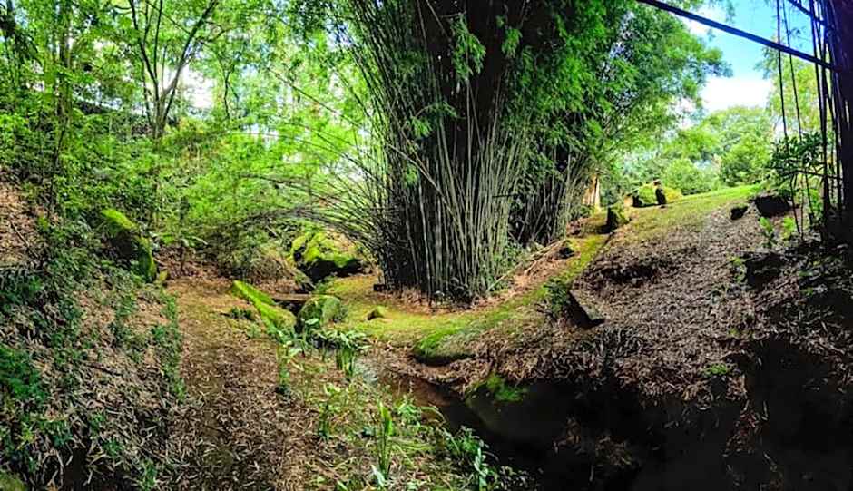 Hospedaria Vida na Roça