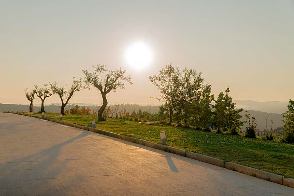 Hotel Freixo Douro Superior