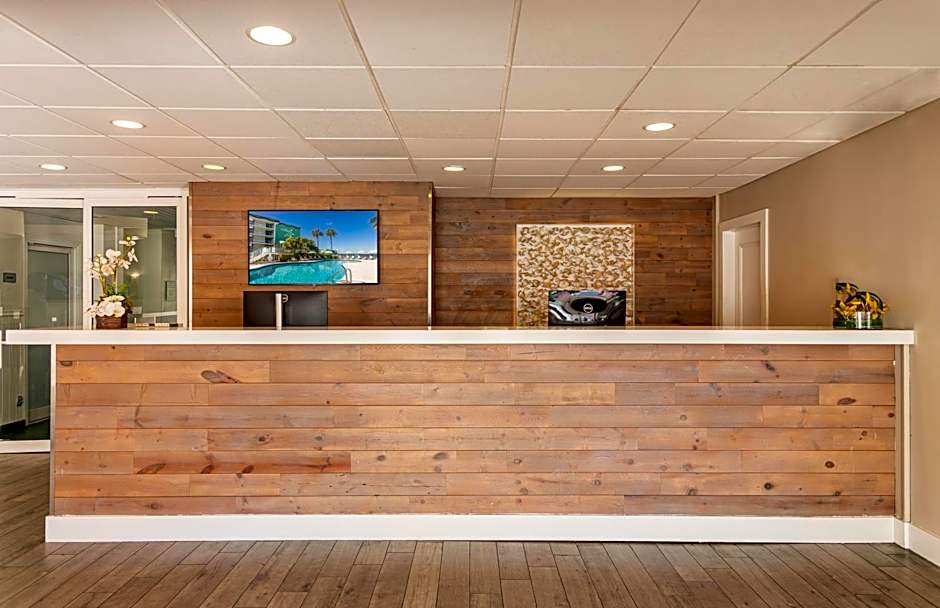 Palm Tree Club Miami