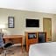 Comfort Inn & Suites St. Pete - Clearwater International Airport