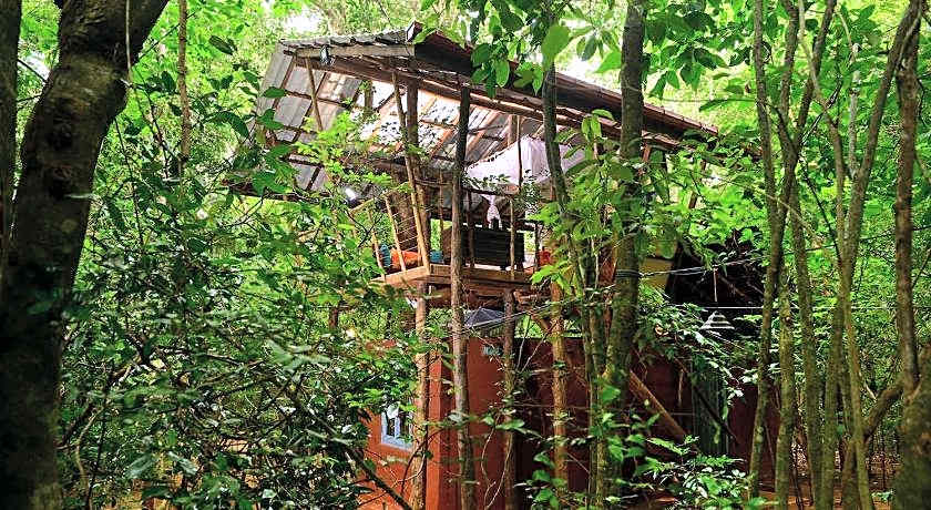 Back of Beyond Pidurangala