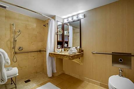 Accessible Deluxe Room with Roll-In Shower 1 Queen Bed