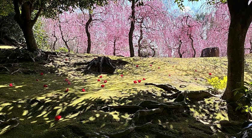 Watermark Hotel Kyoto