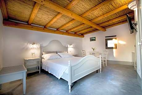 Double Room with Terrace