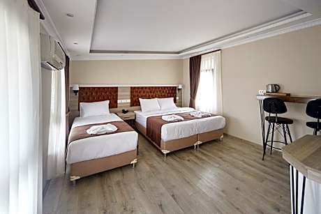 Standard Triple Room with Terrace