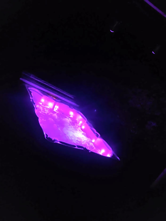 LOVE Room Danslesbois avec spa