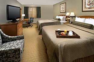 Photo 1 of 4 of Superior 1 King Bed