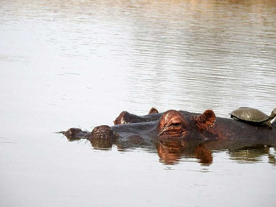 Khululeka Safaris Lodge
