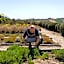 La Foresteria Planeta Wine Resort & Beach Club