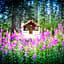 Storm Mountain Lodge & Cabins
