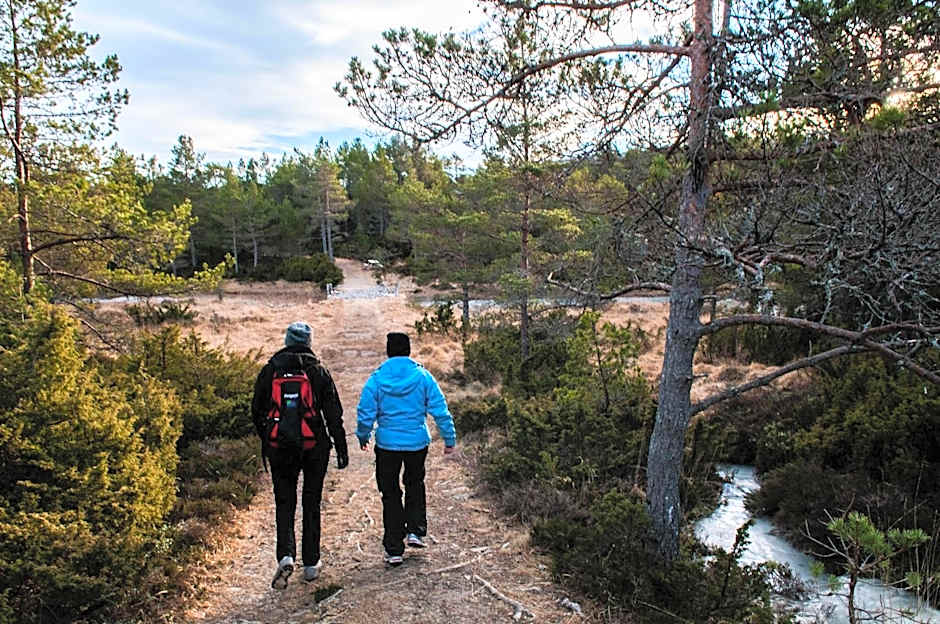 Dolmsundet Hotell Hitra