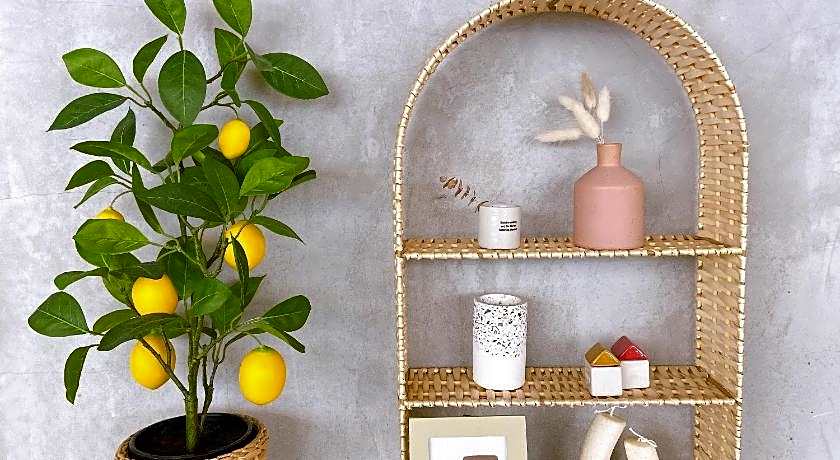 Book Tea Bed SHINJUKU-GYOEN