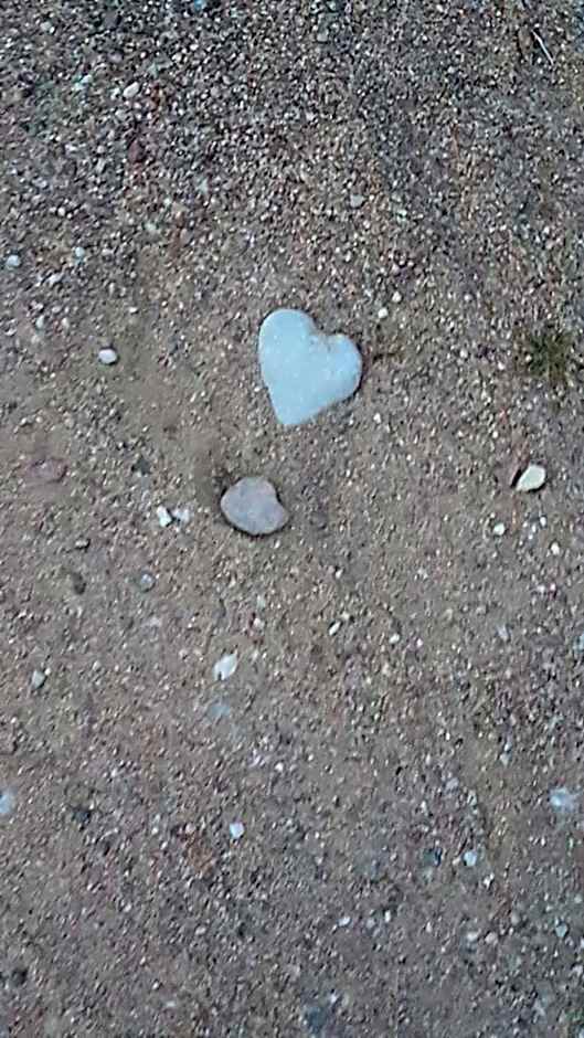 VIP Red Love house for 2