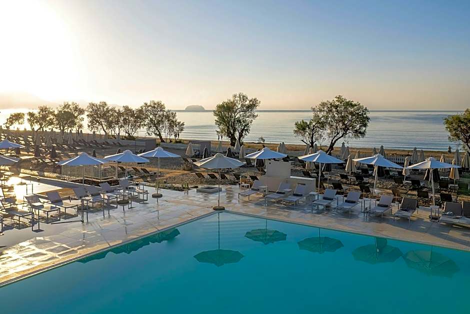 Domes Aulus Zante, Autograph Collection