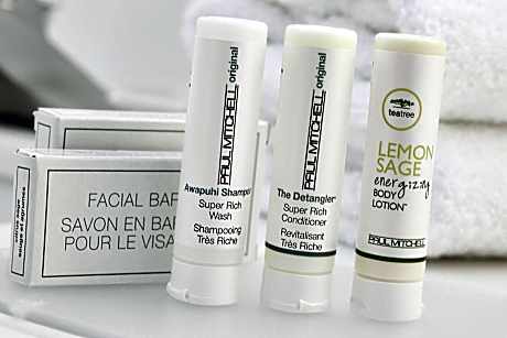 Studio, 1 King Bed with Sofa bed (Mobility Accessible, Tub) (1 King Bed and 1 Double Sofa Bed)