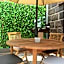 Suites colibri
