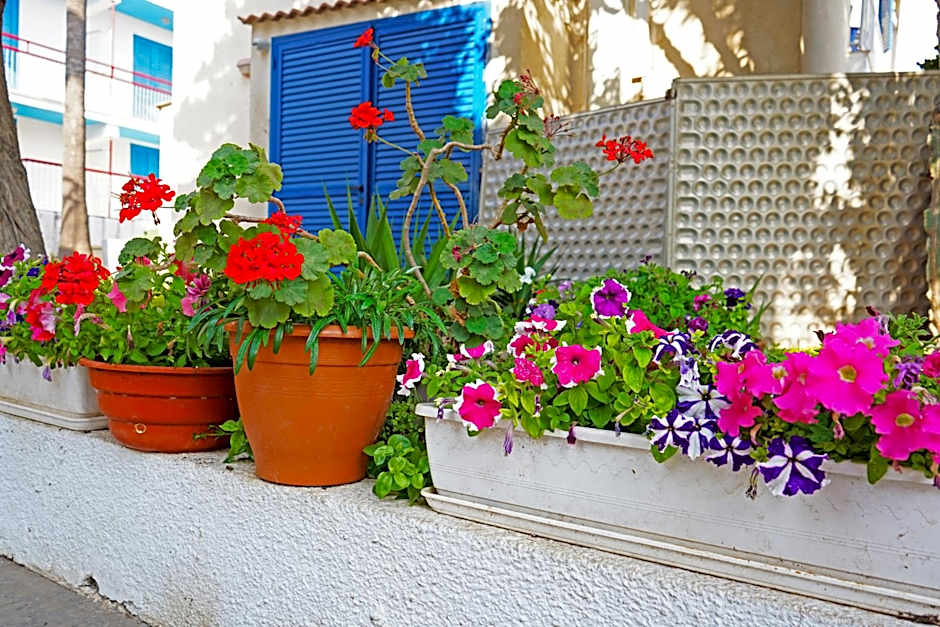 Green Bungalows Hotel Apartments