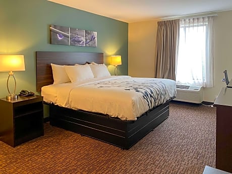 1 King Bed, Nonsmoking, Accessible