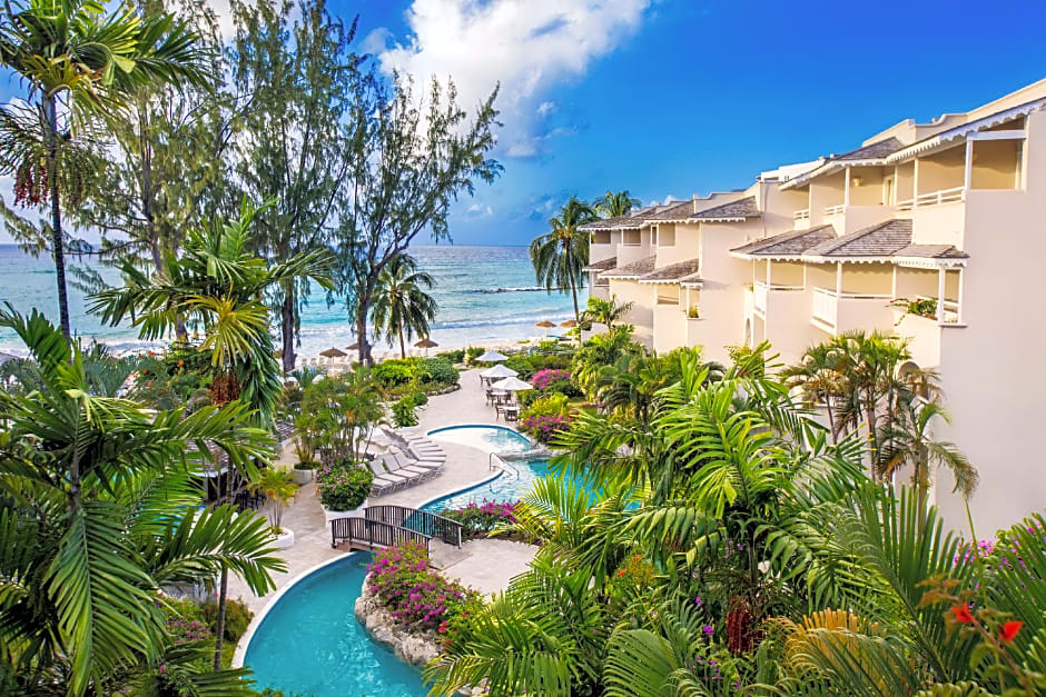 Bougainvillea Barbados