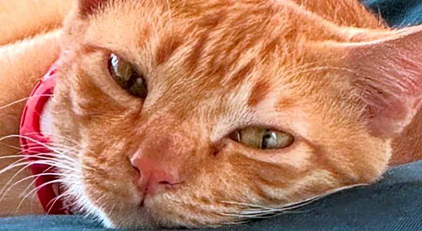 Bluerama - Adults Only Resort