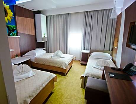 Basic Triple Room