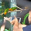 Aviary Bintaro