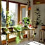 Chez Louve Bleue