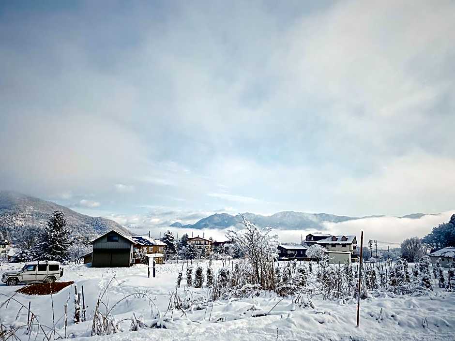 Apricot Pension