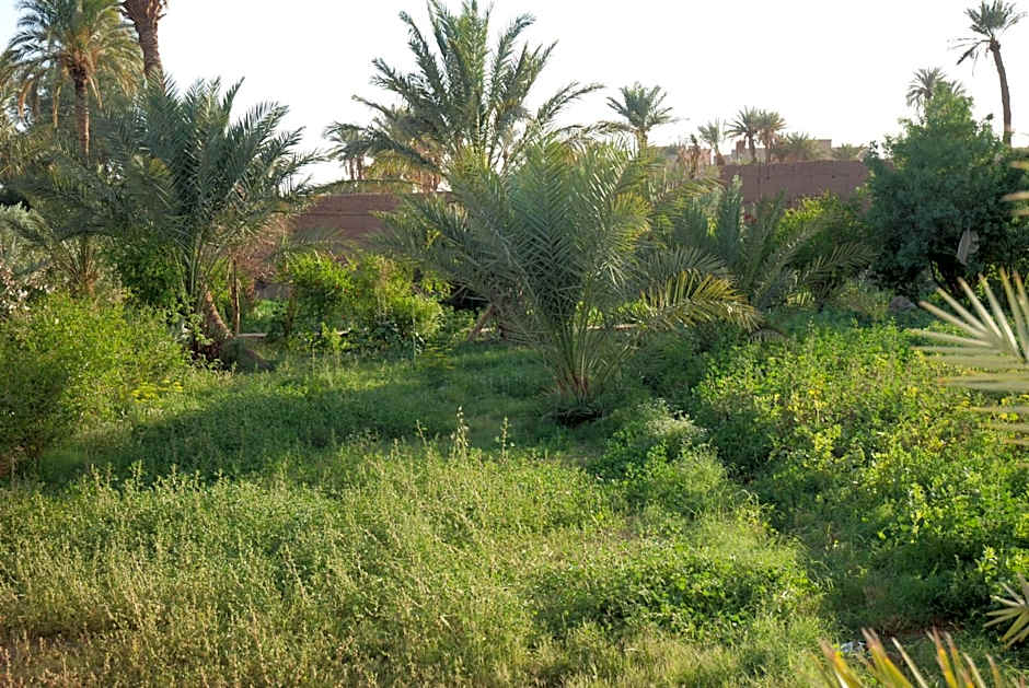 d'hôte Jnane-Dar Diafa