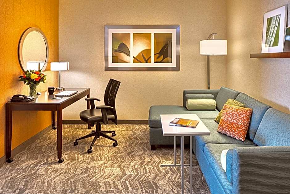 SpringHill Suites by Marriott Salt Lake City Downtown