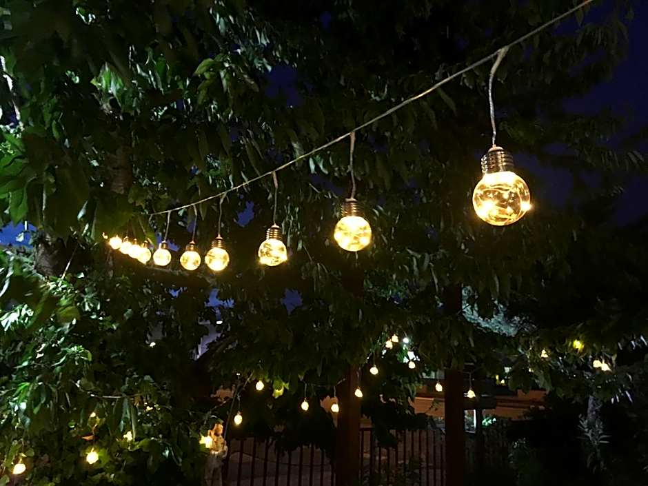 Hotel Patilla Ciudad de Requena